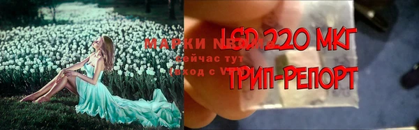 гашик Нефтегорск