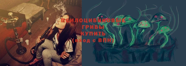 гашик Нефтегорск