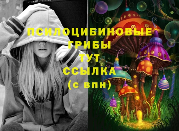 гашик Нефтегорск