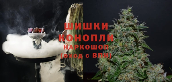 дживик Нея