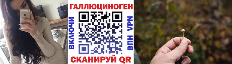Галлюциногенные грибы Psilocybine cubensis  наркошоп  Новомосковск 