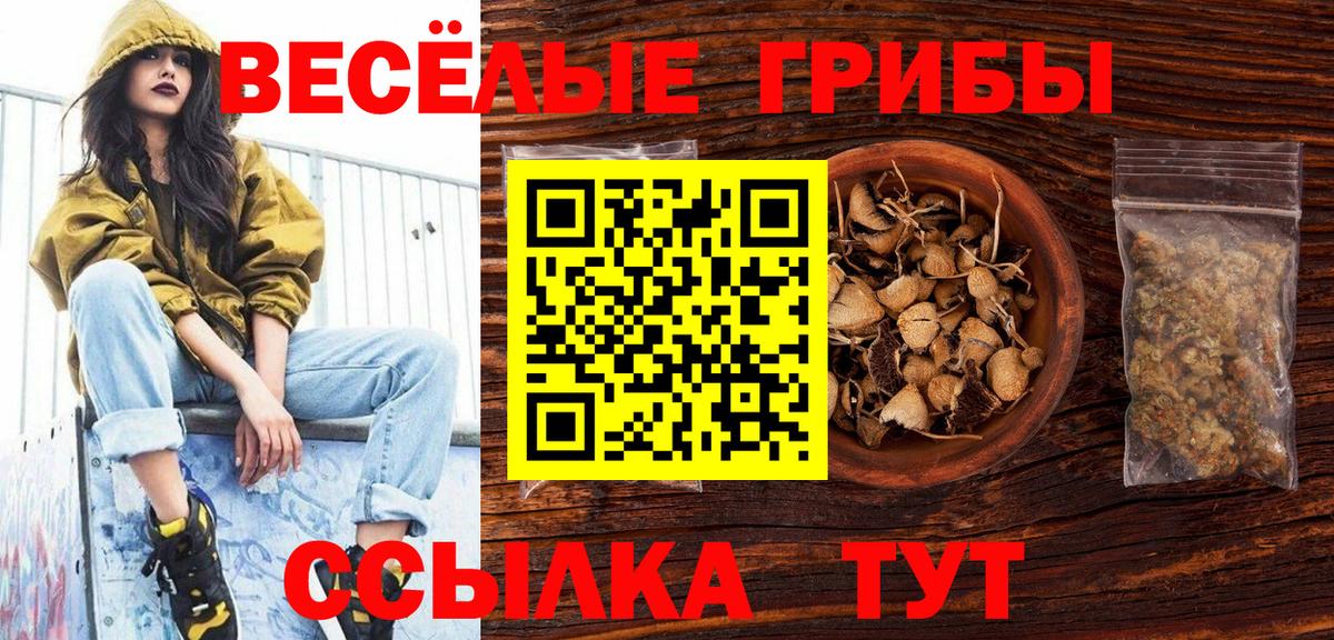 Новомосковск  Галлюциногенные грибы мицелий  Вход с VPN  Псилоцибиновые грибы мицелий 